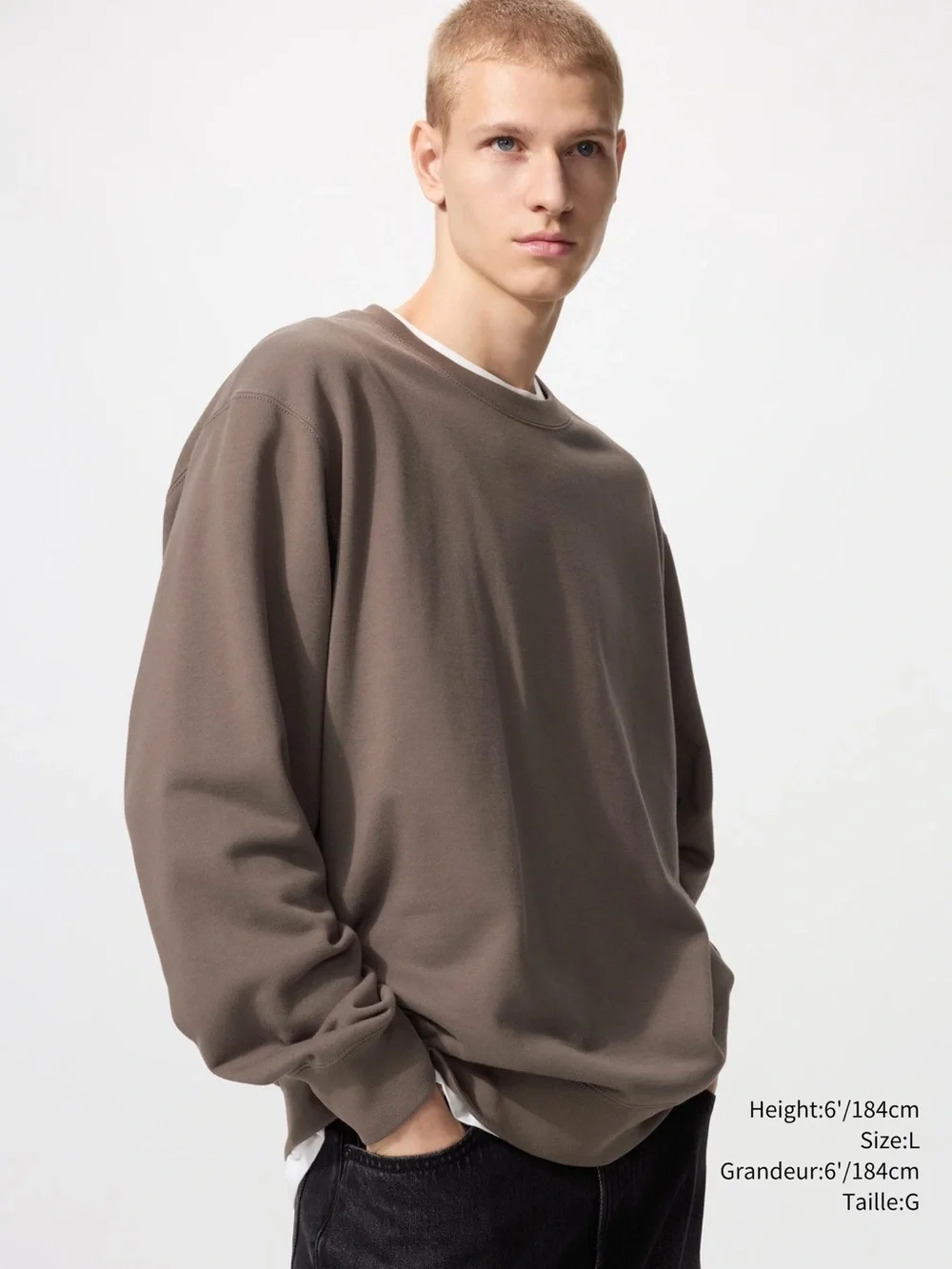 Uniqlo Unisex Crewneck Sweater in Taupe
